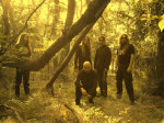 Sear Bliss -bändin jäsenet kullanhohtoisessa metsässä, jossa lehtipuita tiiviinä ryppäänä miesten ympärillä. Miehet, joita kuvassa viisi kappaletta, pukeutuneet mustiin vaatteisiin.