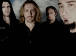 Paradise Lost -bändin neljä miesjäsentä seisoo mustiin vaatteisiin pukeutuneina ja tyynet ilmeet kasvoilla vaaleahkoa taustaa vasten. Oikeassa laidassa näkyvällä hepulla mustaa partaa leukansa alla.