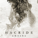 'Amoeba'-albumin vaaleasävyinen kansikuva, jossa näkyy bändin logo versaaleilla kirjoitettuna kuvan alaosassa keskitettynä. Logon alla albumin nimi pienin tekstauskirjaimin.